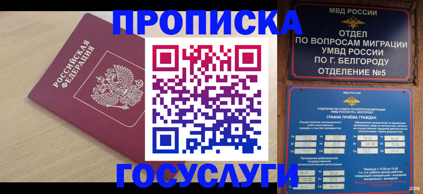 прописка законно в Корсакове